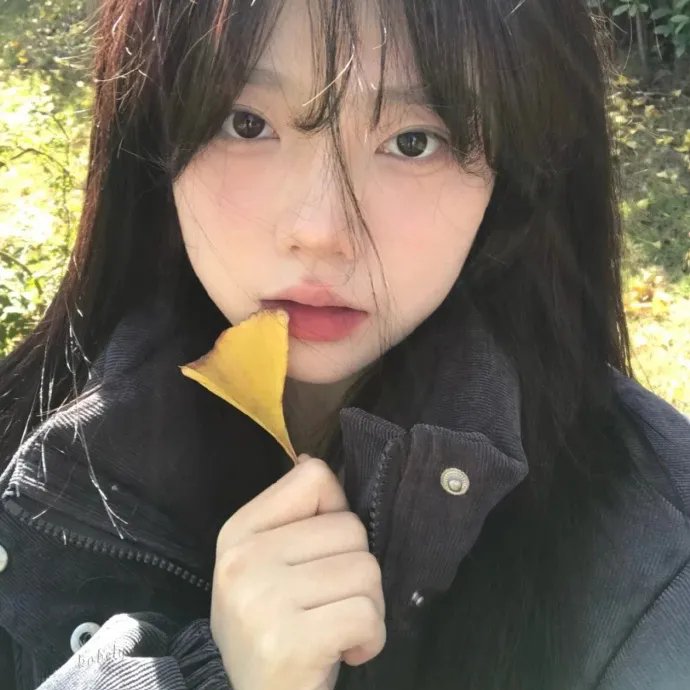 胡涂司机