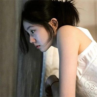 红狐